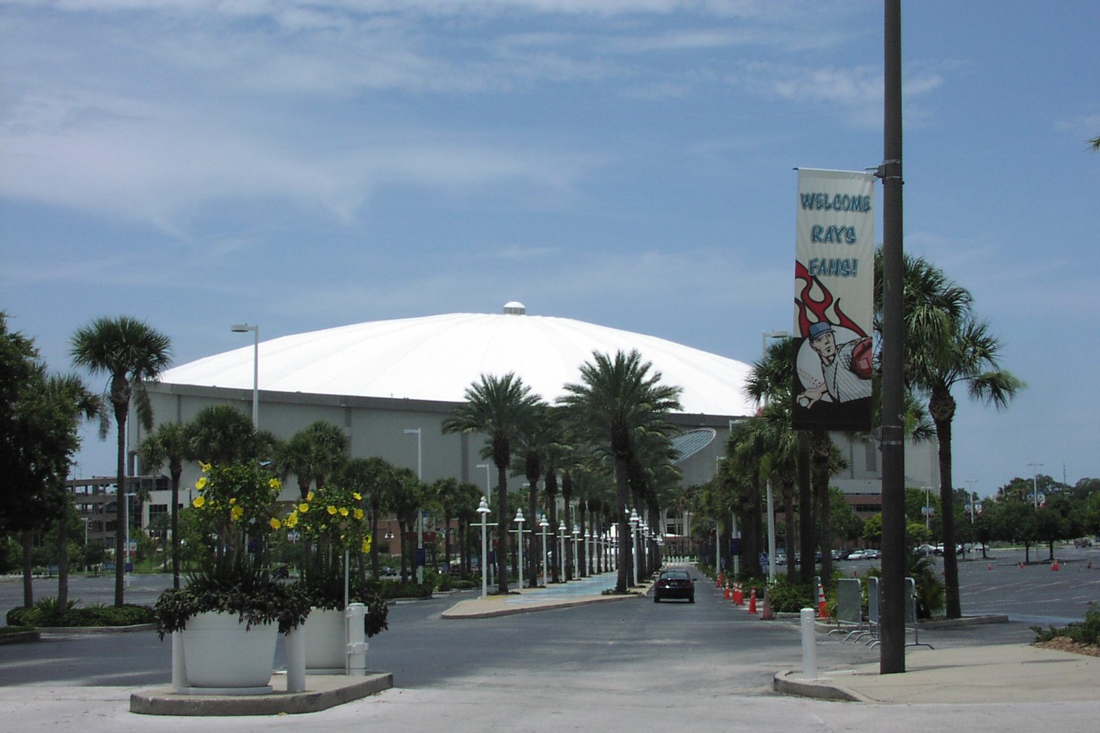 The tilted white dome of Tropicana Field seen from the street, palm trees along the approach under a clear Florida sky